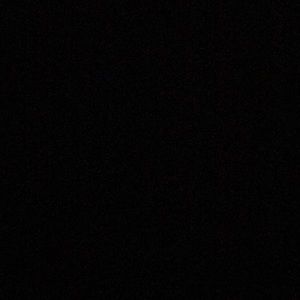 Meet your Posher, Lynn